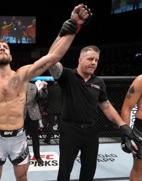 Nikita Krylov of Ukraine reacts after his TKO victory over Alexander Gustafsson of Sweden in a light heavyweight fight during the UFC Fight Night event at O2 Arena