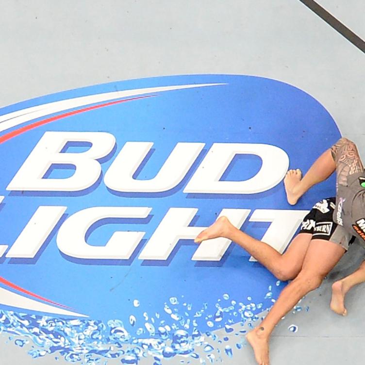 An overhead view of the Octagon as referee Mario Yamasaki (black shirt) calls the fight as Travis Browne (gray shorts) defeats Brendan Schaub in their heavyweight bout during the UFC 181 event inside the Mandalay Bay Events Center on December 6, 2014 in Las Vegas, Nevada. (Photo by Josh Hedges/Zuffa LLC)