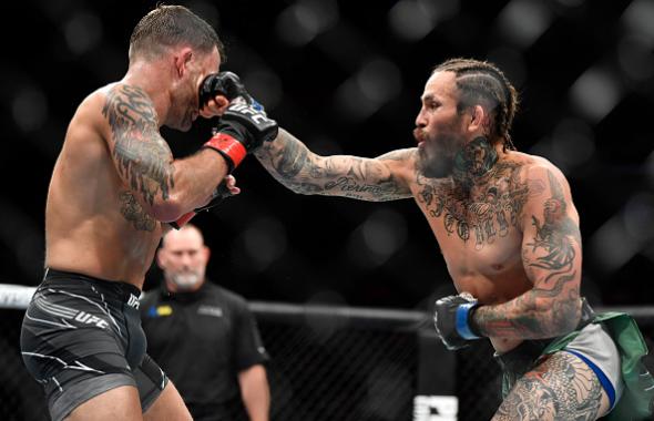 Marlon Vera of Ecuador punches Frankie Edgar in their bantamweight fight during the UFC 268 event at Madison Square Garden on November 06, 2021 in New York City. (Photo by Chris Unger/Zuffa LLC)